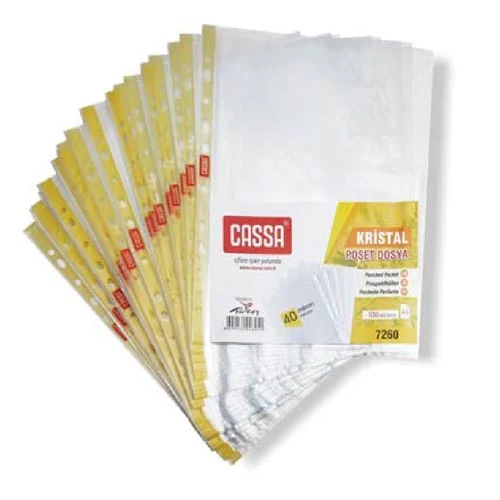 Folii de protectie CASSA  A4/40 mkm (100 buc) 2