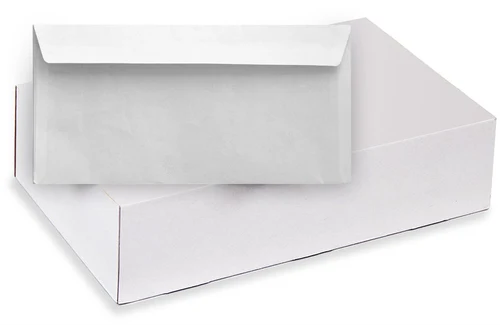 Plic ASIL DL 110x220mm banda silicon