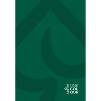 Тетрадь А4 192 листа, твердая ламинированная обложка Business Book [Verde] 2