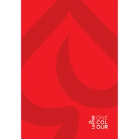 Тетрадь А4 192 листа, твердая ламинированная обложка Business Book [Albastru] 3