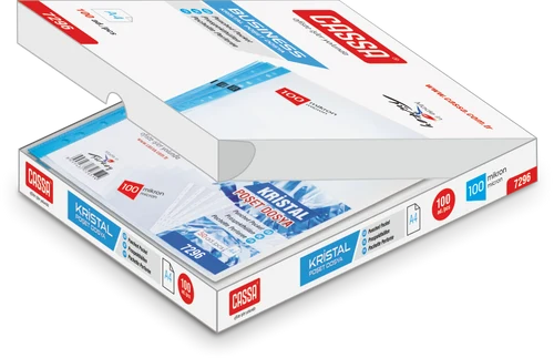 Folii de protectie CASSA A4/100 mkm (100 buc)