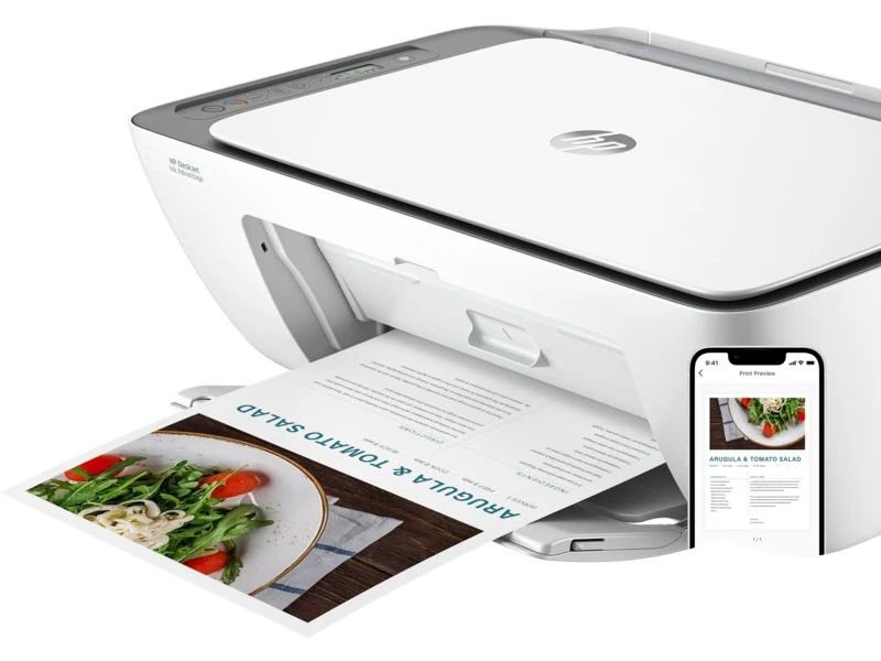MFD HP DeskJet Ink Advantage 2876 White/Gray, A4 3